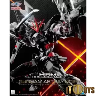 HiRM 1/100 Scale 
Gundam SEED Destiny Astray B 
Gundam Astray Noir